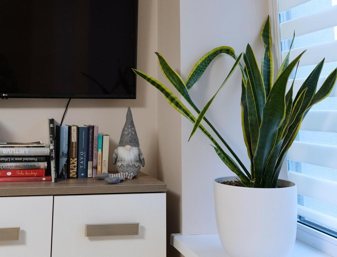 Sodu Apartment Kaunas Bagian luar foto